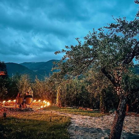 Elysian Fields - The Island Tiny House Bed & Breakfast Sadu Ngoại thất bức ảnh