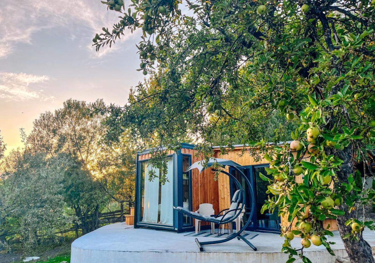 Elysian Fields - The Island Tiny House Bed & Breakfast Sadu Ngoại thất bức ảnh